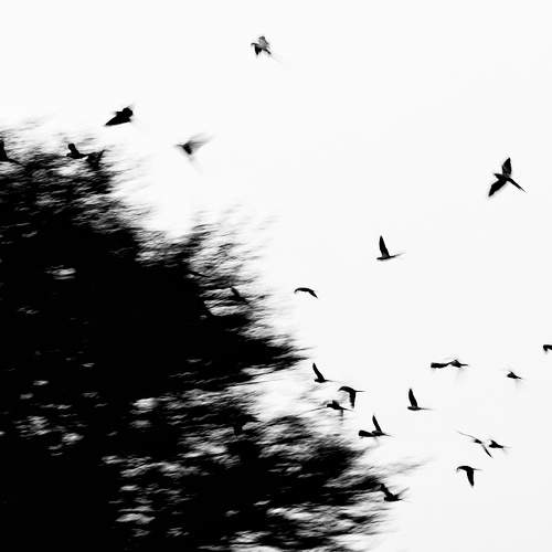 Flights to land