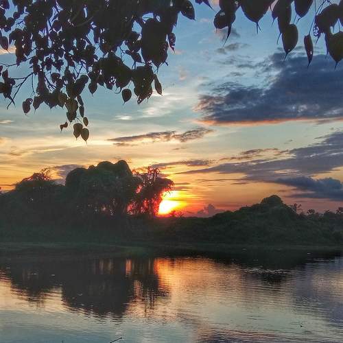 Photo #6197630