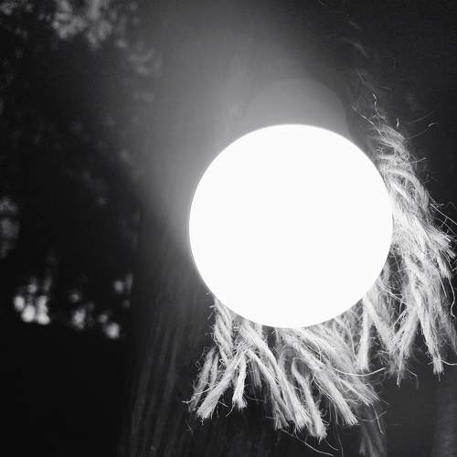 Photo #6197631