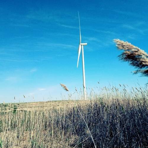 Photo #6197713
