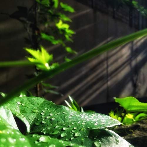 Photo #6197747