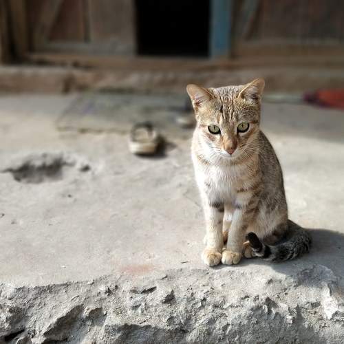Photo #6197765
