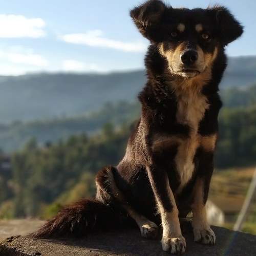 Photo #6197818