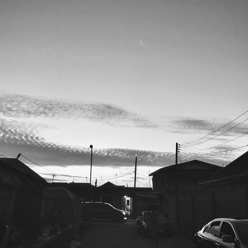 Photo #6197820