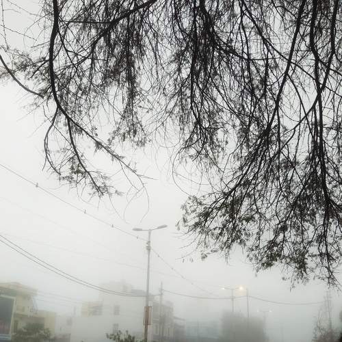 Photo #6197928