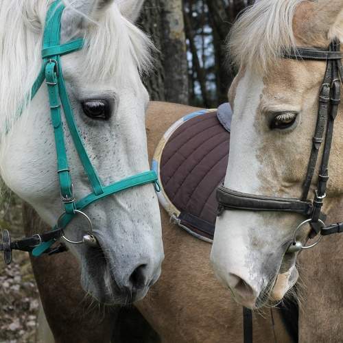 Photo #6197970