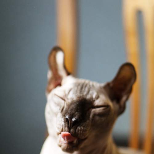 Photo #6198359