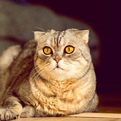 Photo #6198361