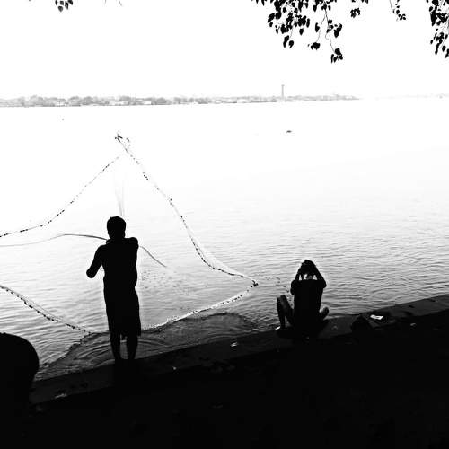 Photo #6198487