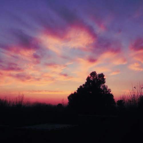 Photo #6198585