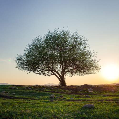 Photo #6198596