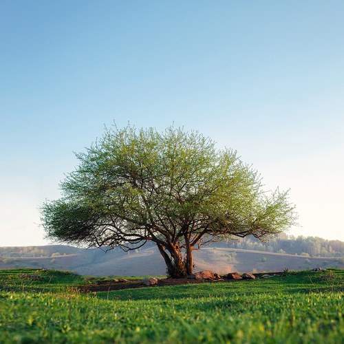 Photo #6198602