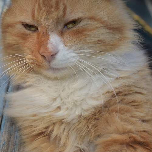 Photo #6198623