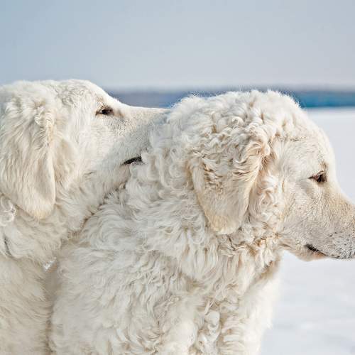 Photo #6198824
