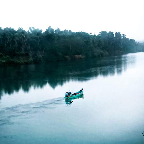 Photo #6199024