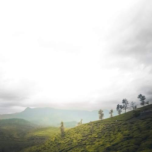Foggy hill top