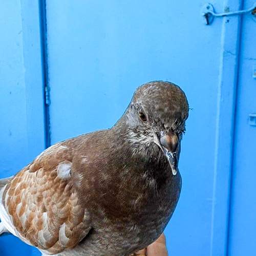 Photo #6199484