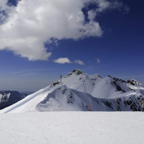 Photo #6199655