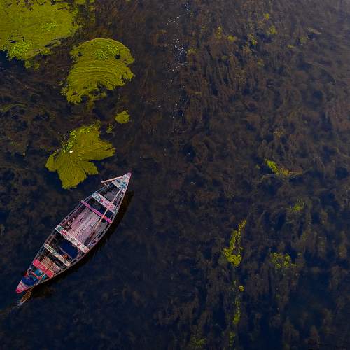 River Boatman