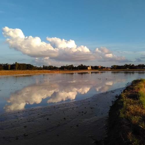 Photo #6199871