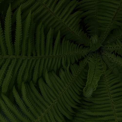 Photo #6199971