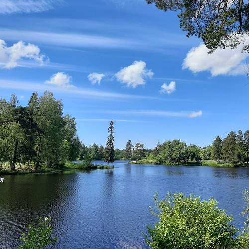 Photo #6200108