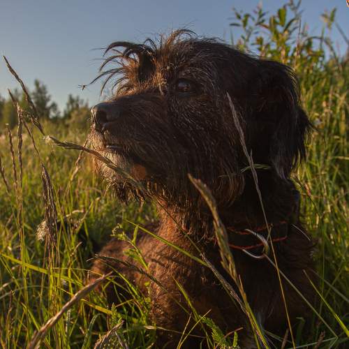 Photo #6200321