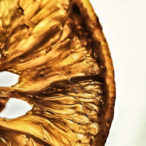 Photo #6200364