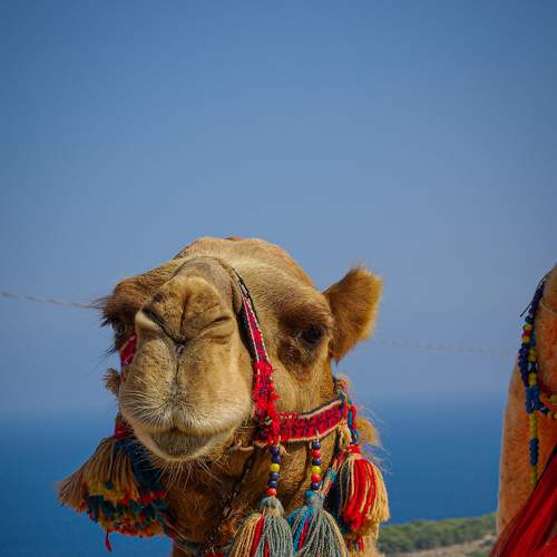 Photo #6200451