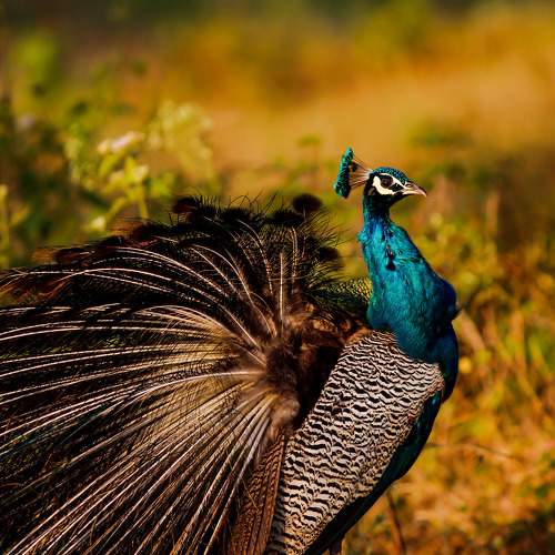 Photo #6200820