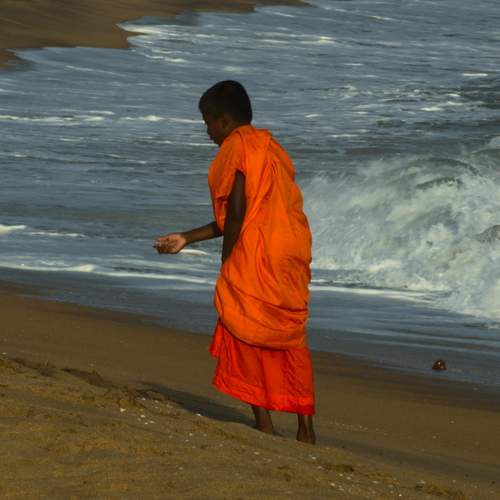 Photo #6200866