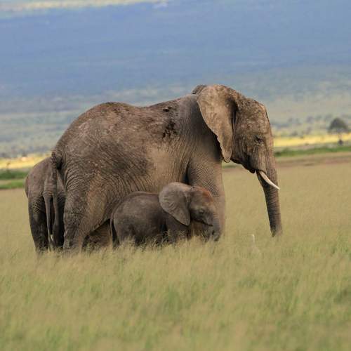 Photo #6200938