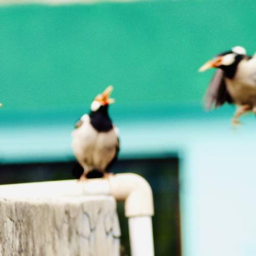 Photo #6201086