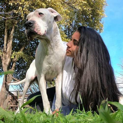 Photo #6201100