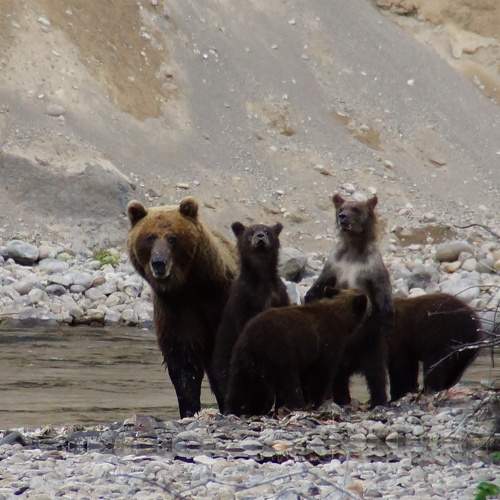 Photo #6201483