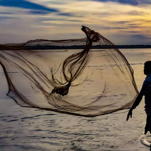 Livelihood