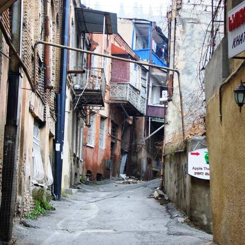 Photo #6201517