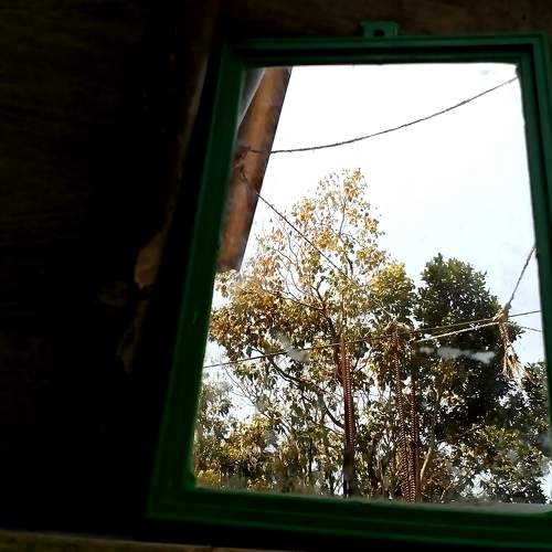 Nature with mirror effect