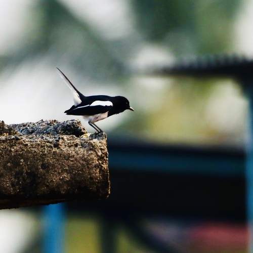 Photo #6202032