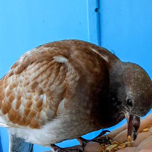 Photo #6202038