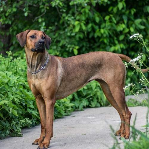 Photo #6202042