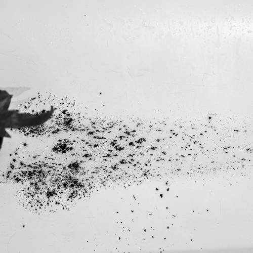 Photo #6202140