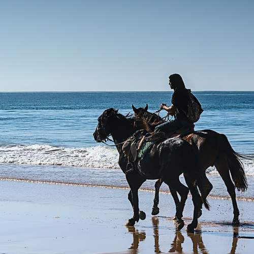 Photo #6202262