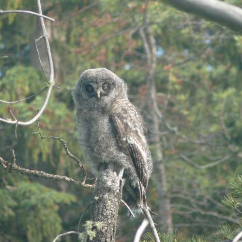 Photo #6202282
