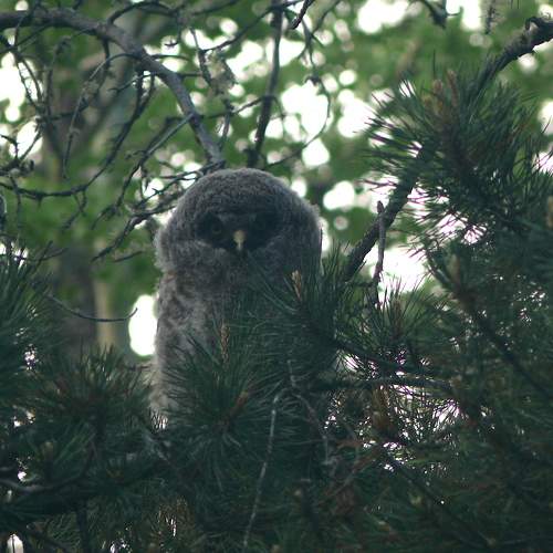 Photo #6202284