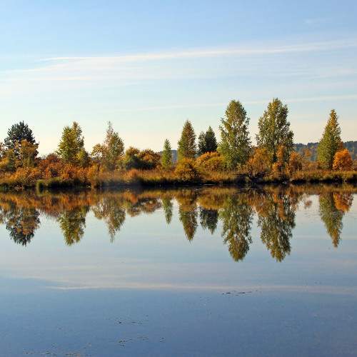 Photo #6202502
