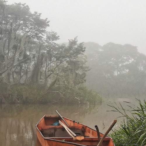 Foggy morning on the river (Manhã de neblina no rio)