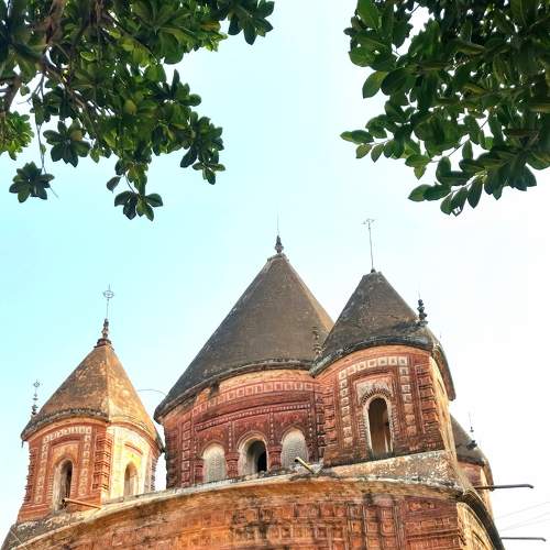 Photo #6202728