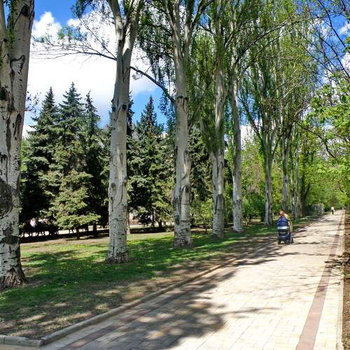 Photo #6203444