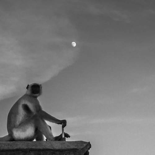 A Waiting